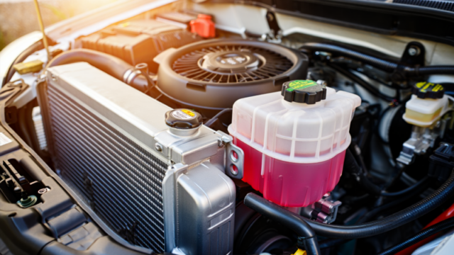 c988ba41e2b28f3036f341181d86f4a6